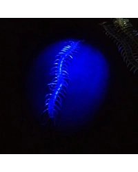 Şaka Yılan ve Kırkayak Karışık 36 Adet