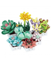 Sukulent Çiçek Buketi 8842