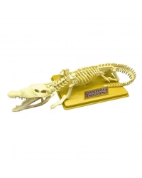 Timsah İskeleti Bilim Seti