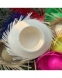 Tropikal Parti Beyaz Hasır Hawaii Şapkası 13x36 cm