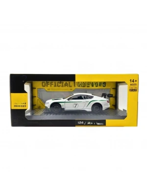 1/24 GT3 Model Araba