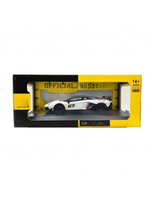 1/24  Model Araba