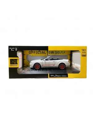 1/24 Model Araba