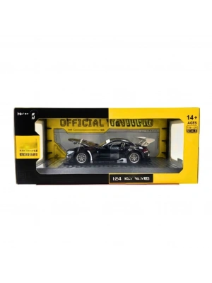 1/24 Z4 GT4 Model Araba