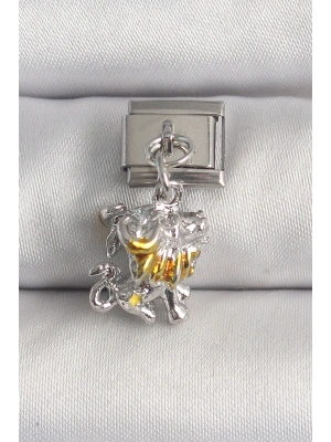 316L Çelik Gümüş Renk Sallantı Aslan Model Nomination Charm