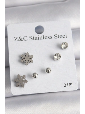 316L Çelik Gümüş Renk Zirkon Taşlı Kar Tanesi Model Kadın Küpe Seti