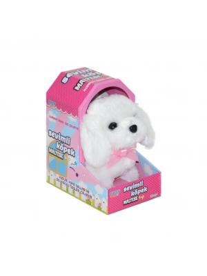 47100 Sevimli Köpek Maltese -