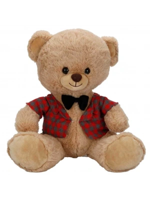4810 PELUŞ AYI ELBİSELİ 32CM 2A