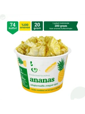 Ananas Atıştırmalık Meyve Cipsi 20gr
