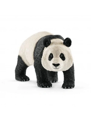 Dev Panda