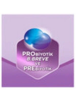 Devam Sütü No2 6-12 Ay 800 Gr