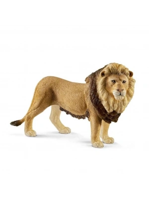 Erkek Aslan
