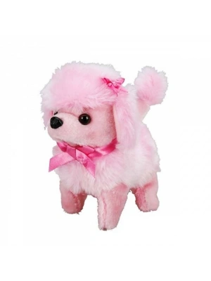 NessiWorldman Sevimli Köpek Poodle