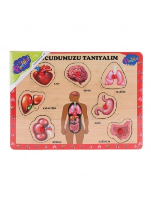 ONY-287 288 Ahşap Tutmalı Vücumuzu Tanıyalım -