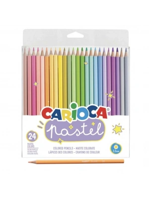 Pastel Renkli Kuru Boya Kalemi 24lü