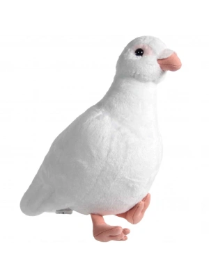 Peluş Güvercin 30 cm