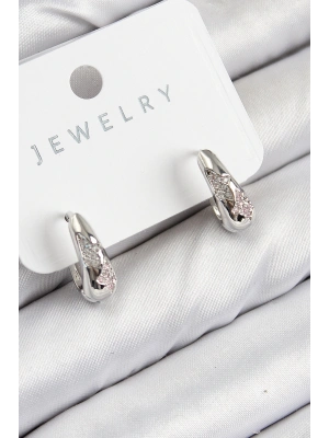 Pirinç Zirkon Taş Desenli Model Gümüş Renk Kadın Küpe