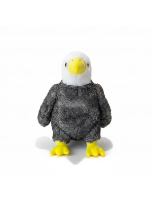PL50253 45 CM KARTAL