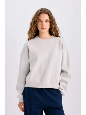 Regular Fit Bisiklet Yaka Kalın Basic Düz Sweatshirt