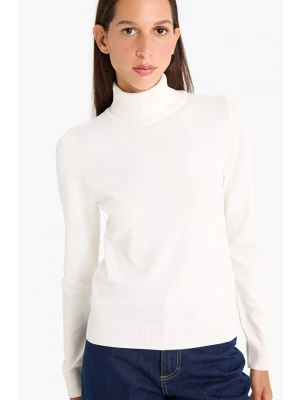 Regular Fit Yarım Balıkçı Yaka Triko Kazak