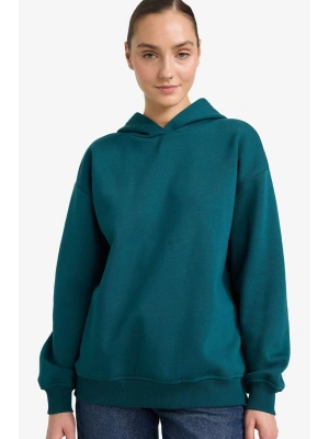 Relax Fit Kapüşonlu Basic Düz Kalın Sweatshirt D9935AX25WN