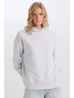 Relax Fit Kapüşonlu Kalın Basic Düz Sweatshirt D9935AX24WN
