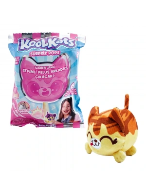 Sürpriz Peluş Kedi