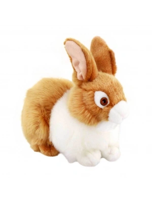 Tavşan Peluş 23 cm