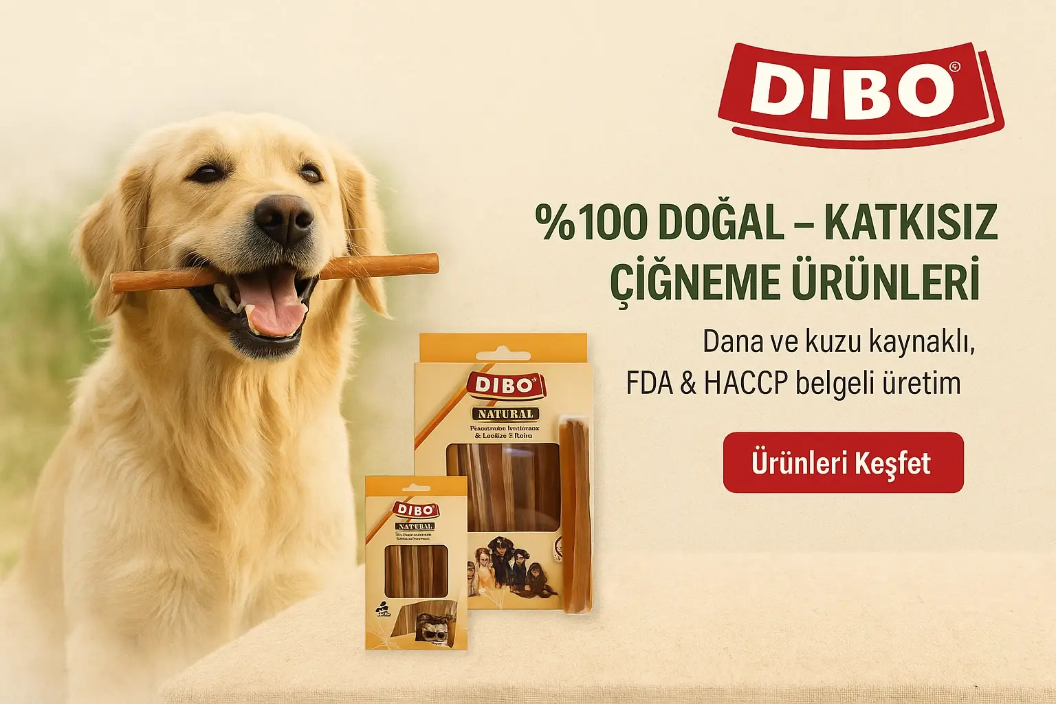 Dibo Çiğneme Ürünleri