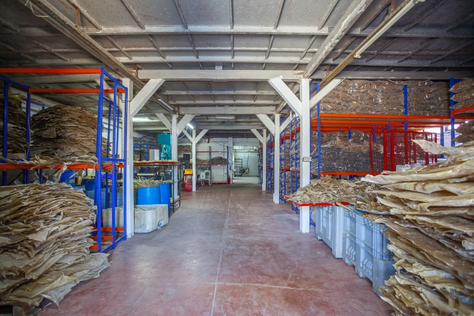 Temizlik ve Boyutlandırma