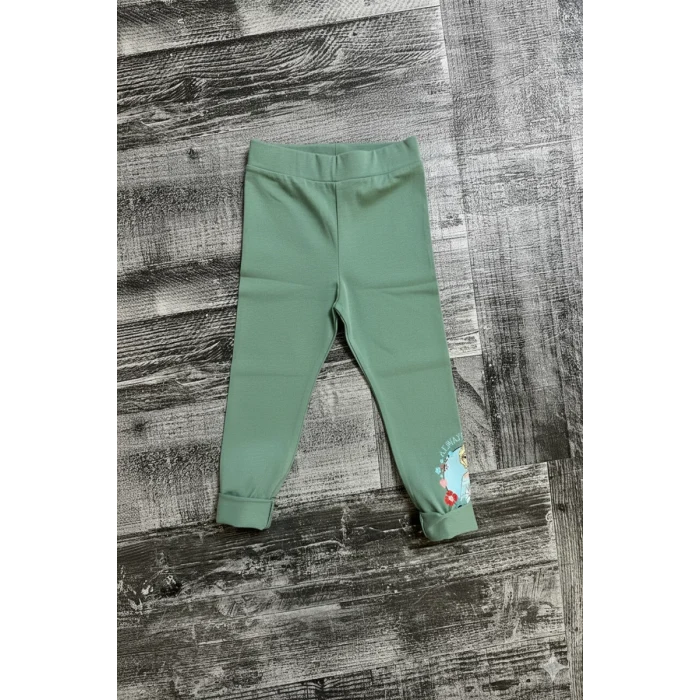 Elsa Desenli Yeşil Renk Kız Çocuk Taytlı Takım