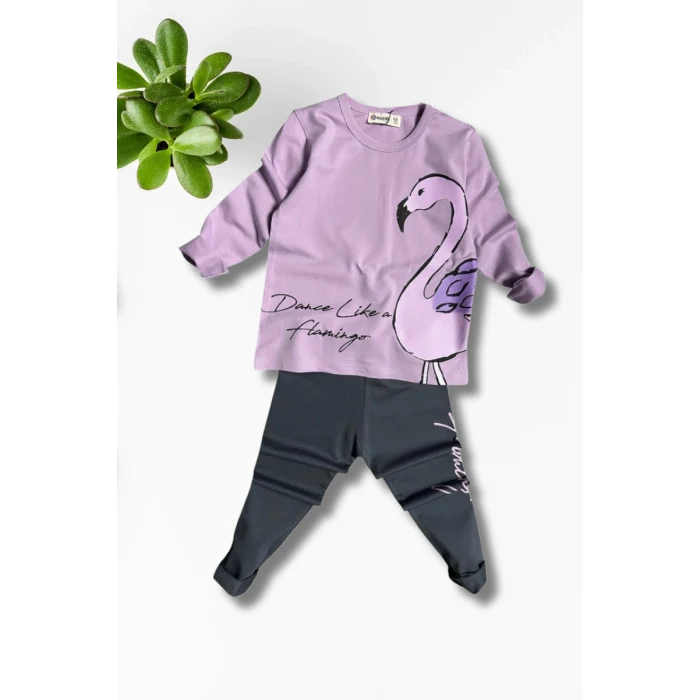 Flamingo Desenli Lila Renk Kız Çocuk Mevsimlik Taytlı Takım
