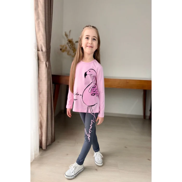 Flamingo Desenli Pembe Renk Kız Çocuk Mevsimlik Taytlı Takım
