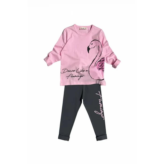 Flamingo Desenli Pembe Renk Kız Çocuk Mevsimlik Taytlı Takım