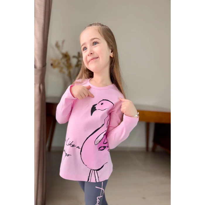 Flamingo Desenli Pembe Renk Kız Çocuk Mevsimlik Taytlı Takım