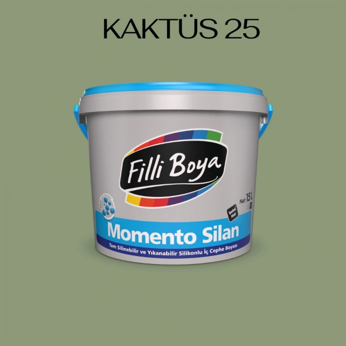Filli Boya Momento Silan  Kaktüs 25 7,5 Litre