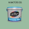 Filli Boya Momento Silan  Kaktüs 55 2,5 Litre