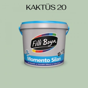 Filli Boya Momento Silan  Kaktüs 20
