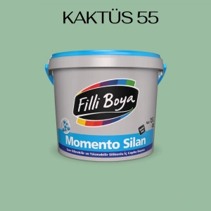 Filli Boya Momento Silan  Kaktüs 55