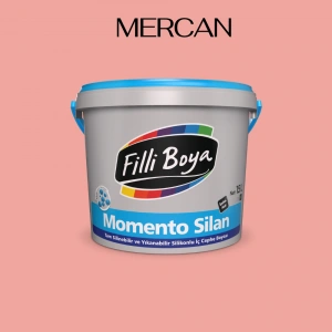 Filli Boya Momento Silan  Mercan 2,5 Litre