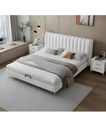 Shelly Seti Baza ve Başlık Takımı