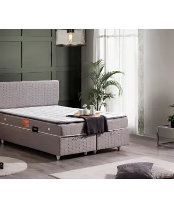 Sais Seti Baza ve Başlık Takımı