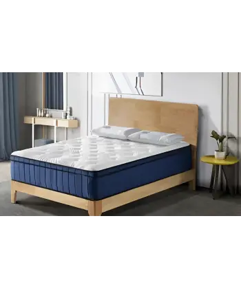 Usül Seti Baza ve Başlık Takımı