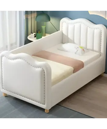 Polly Baza ve Başlık Takımı