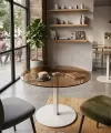Transparan Füme Bistro / Kafe Masası