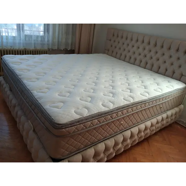 Zarif Seti Baza ve Başlık