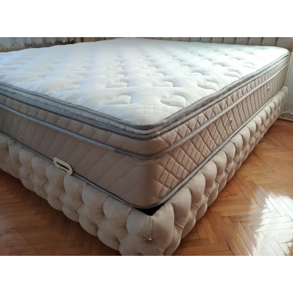 Zarif Seti Baza ve Başlık