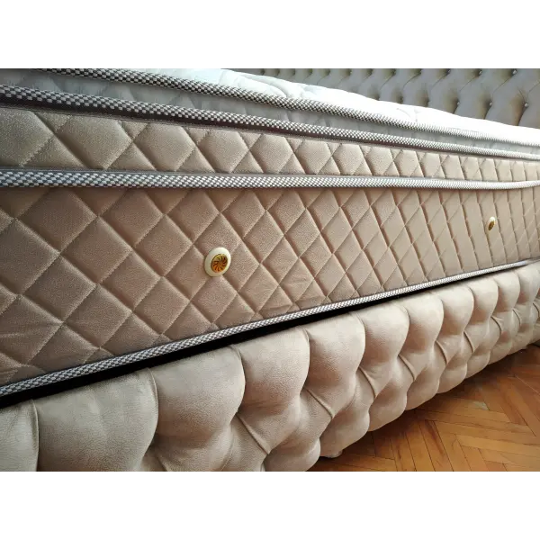 Zarif Seti Baza ve Başlık