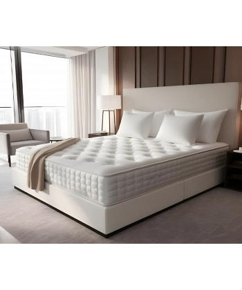 Biza Seti Baza ve Başlık Takımı