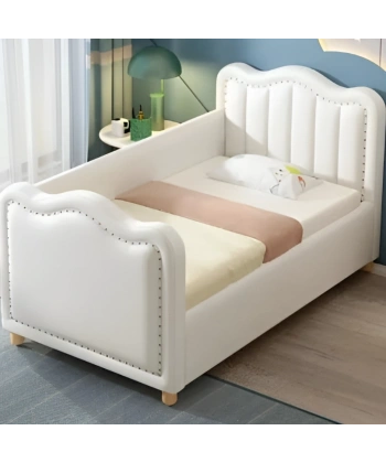 Polly Baza ve Başlık Takımı